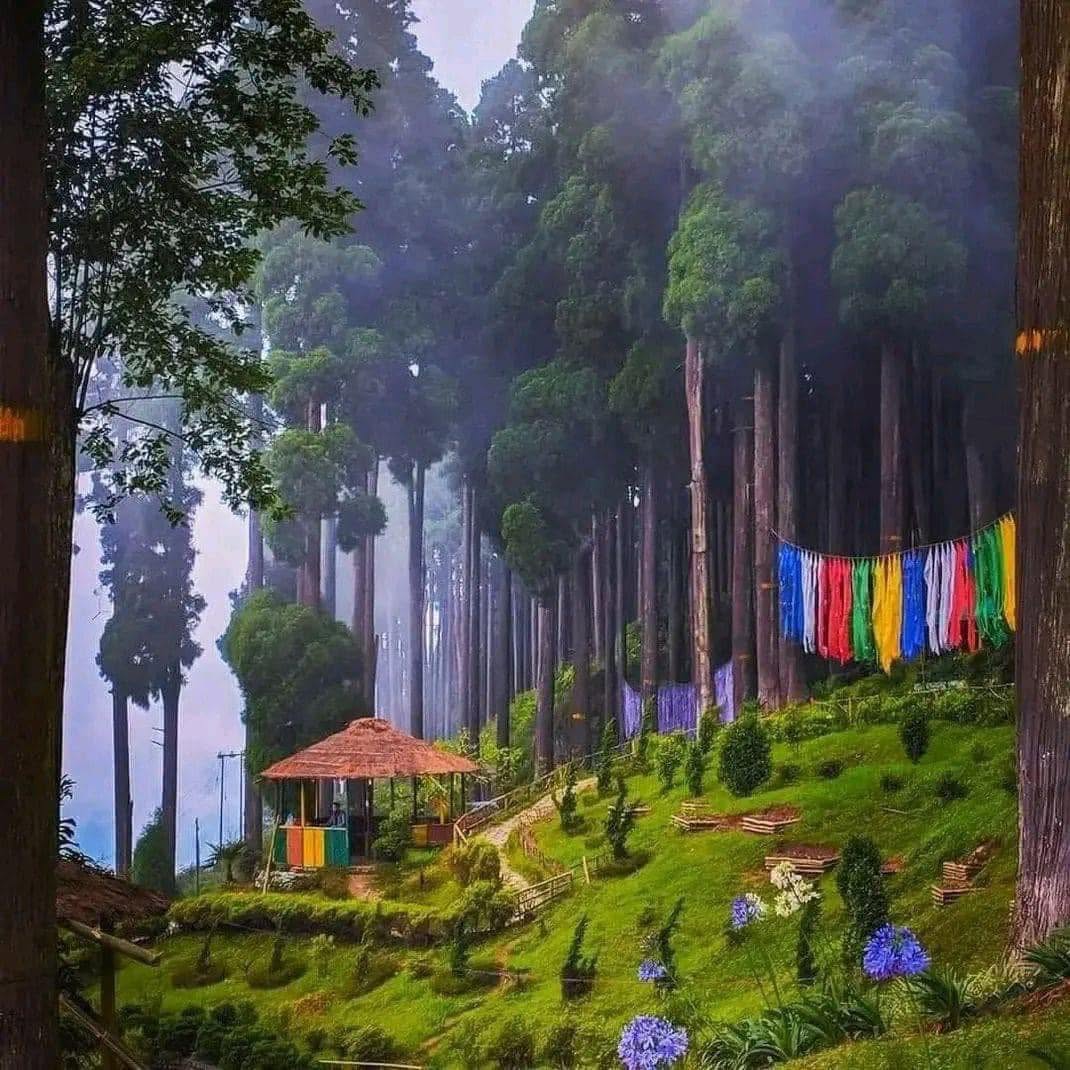 Lamahatta Eco Park
